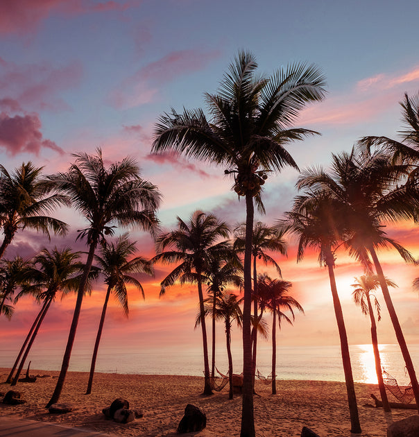 The Beauty of Palm Beach, Florida: A Coastal Paradise | Paul Malone