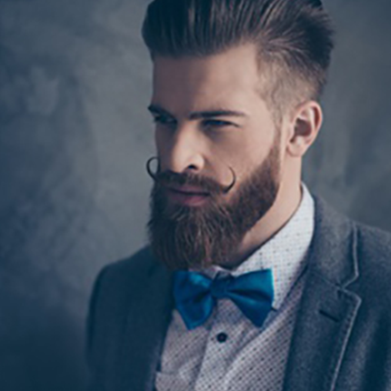 Men's Silk Bow Ties by Paul Malone