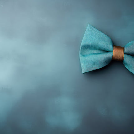 Collection image for: Turquoise Bow Ties