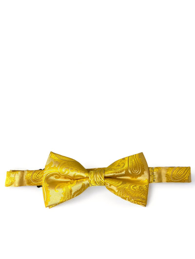 Golden Glow Paisley Bow Tie Paul Malone Bow Ties - Paul Malone.com