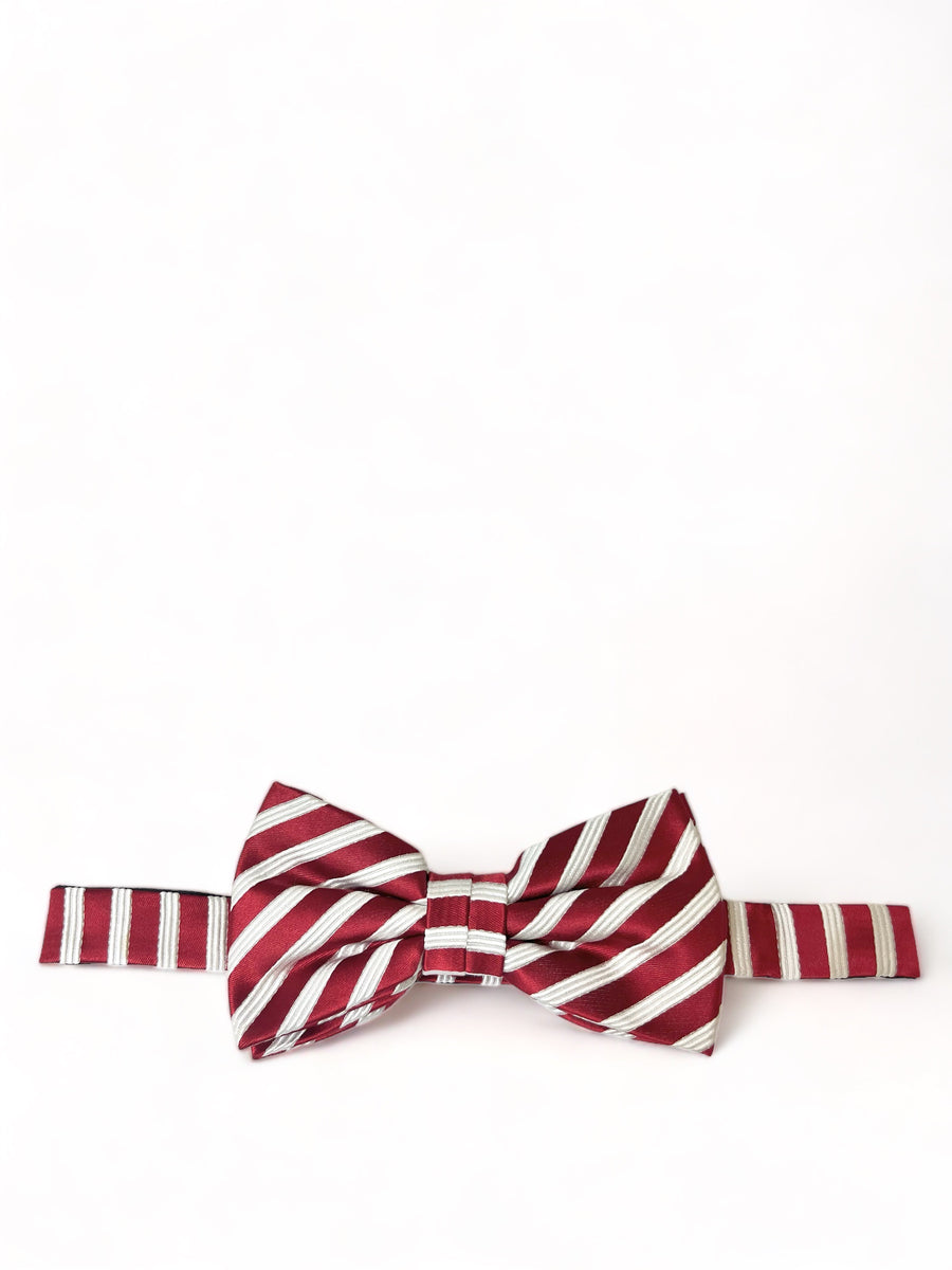 Blue Gingham Cotton Bow Tie by Paul Malone